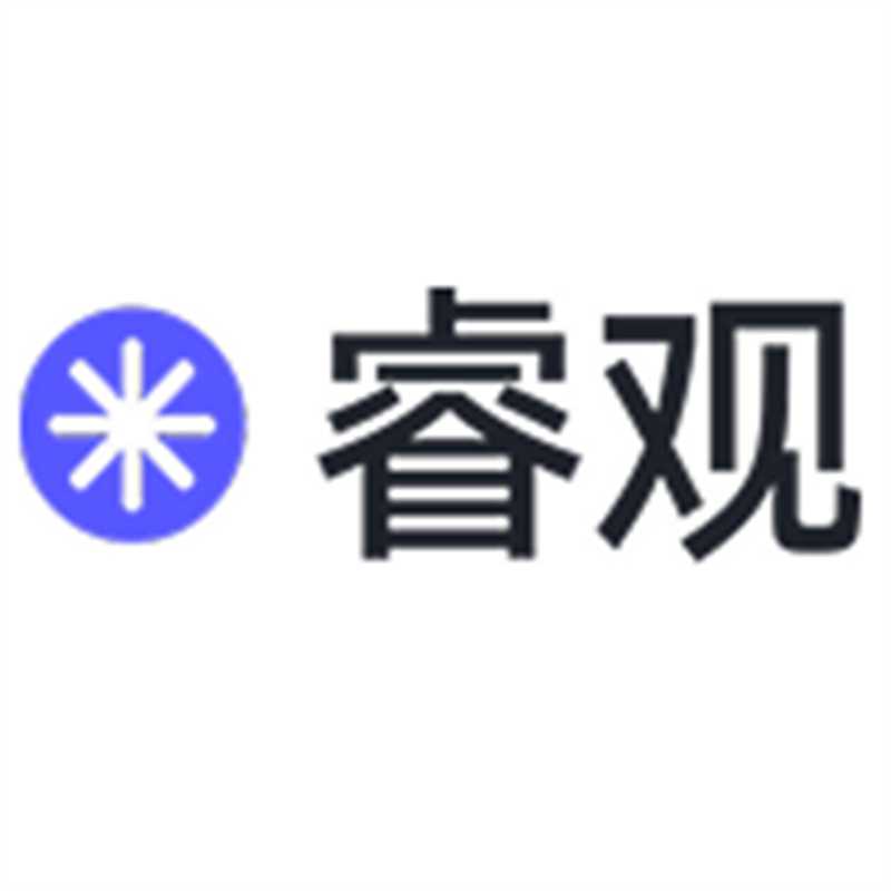 睿观查侵权 图标